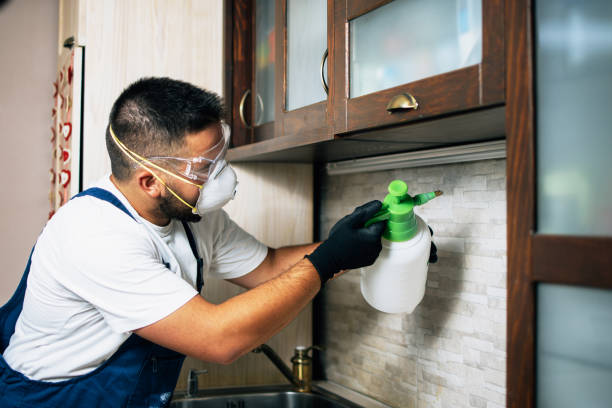 Best Wasp Removal Services  in Harriman, NY