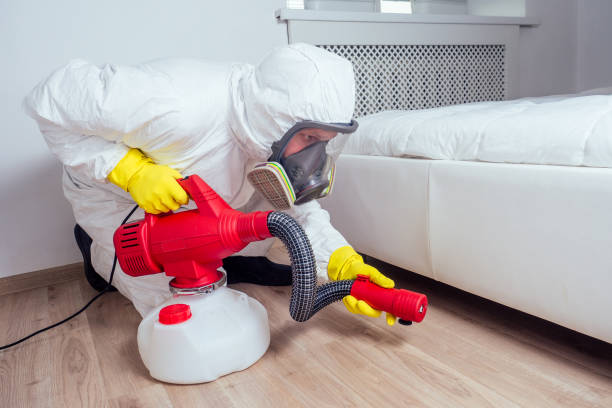 Best Pest Inspection Near Me  in Harriman, NY