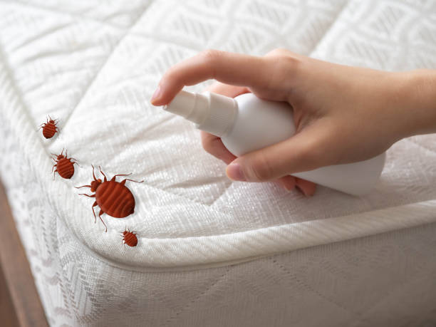 Best Best Pest Control Near Me  in Harriman, NY