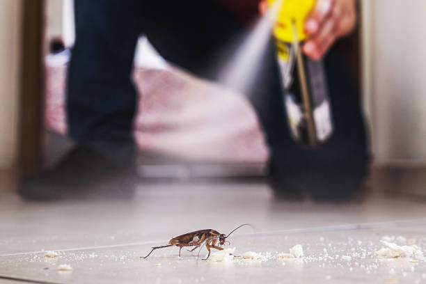 Best Pest Prevention Services  in Harriman, NY
