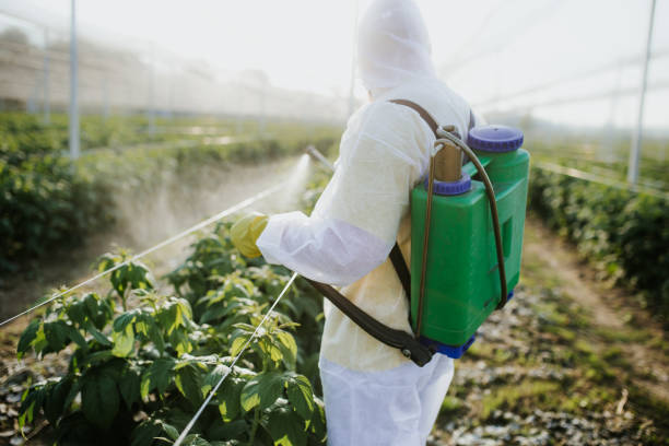 Best Ant Control Services  in Harriman, NY